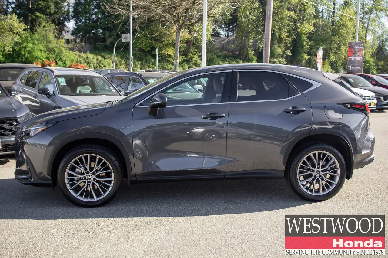 Lexus NX снимка Lexus NX