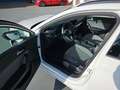 SEAT Leon Sportstourer Style AHK LED SHZ LHZ DAB Weiß - thumbnail 6