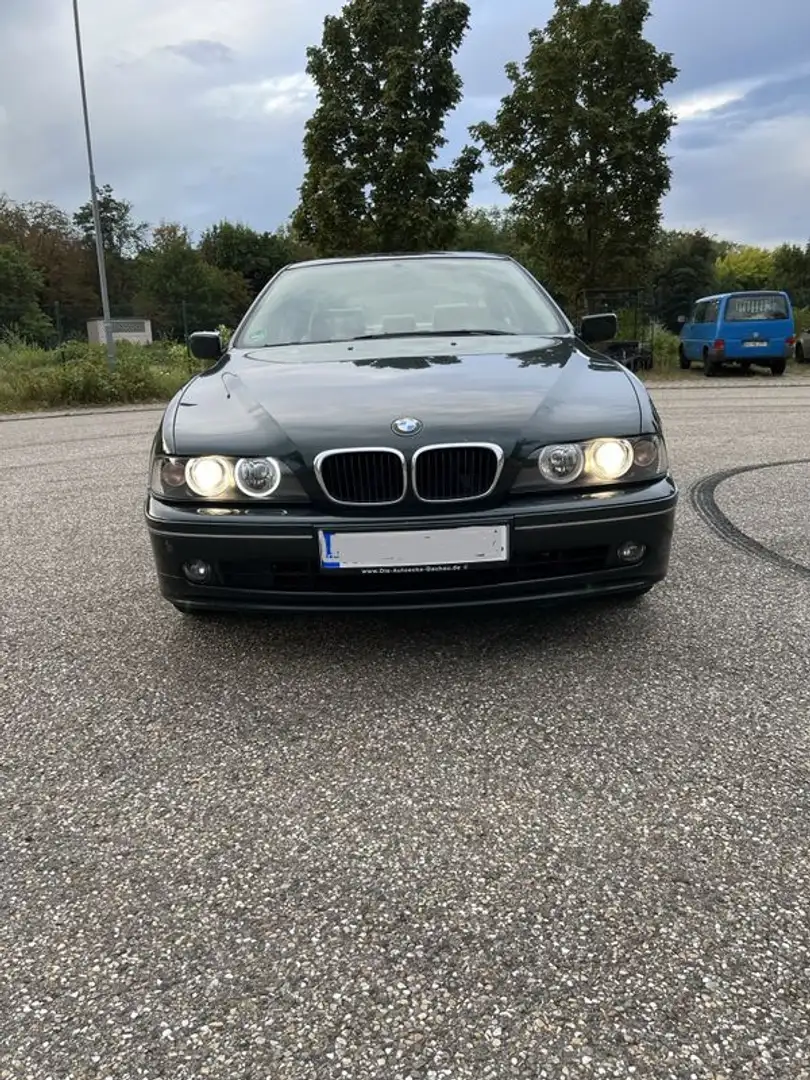 BMW 525 Grün - 1