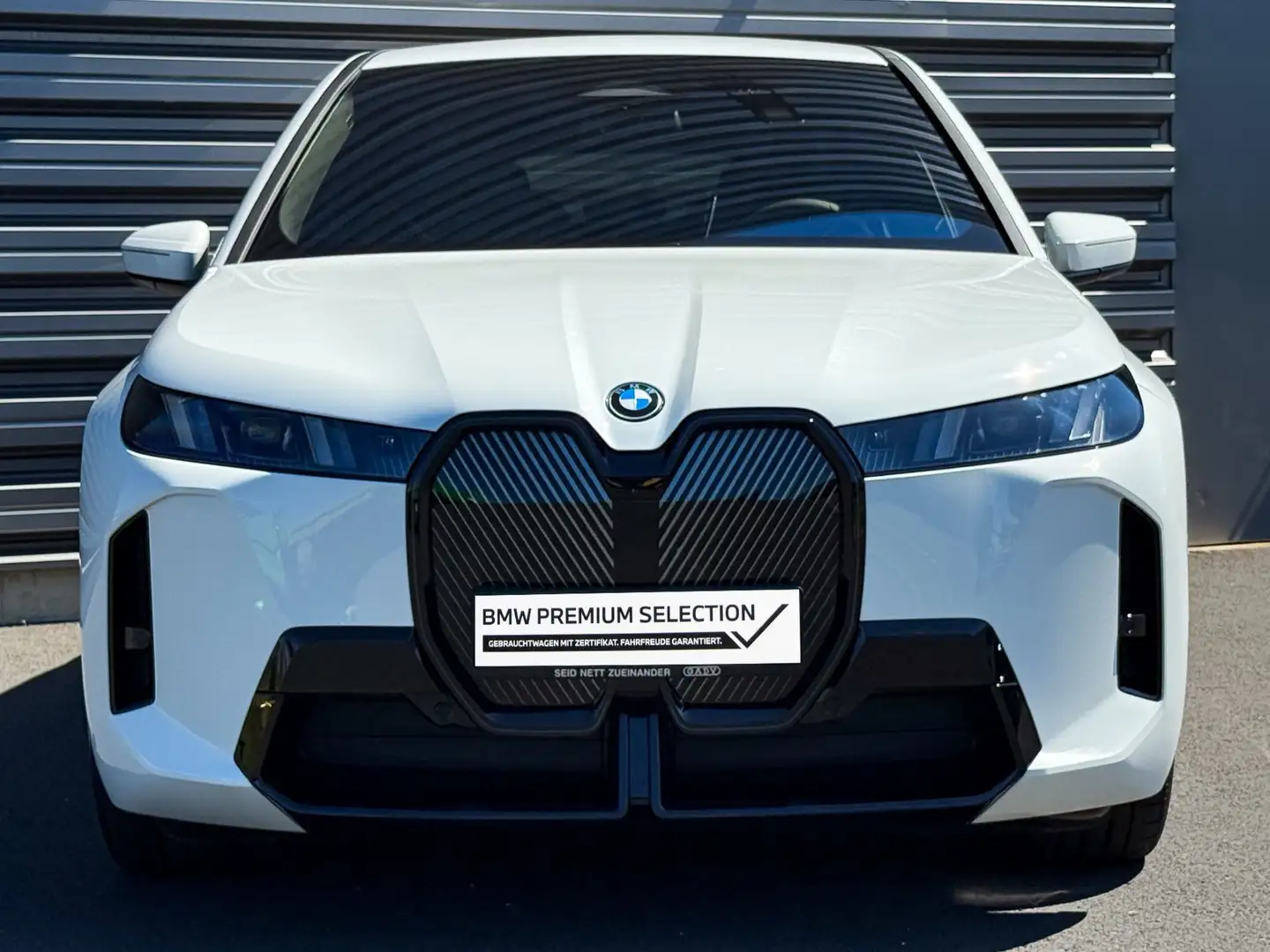 BMW iX xDrive45 Weiß - 2