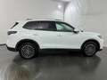 Volkswagen Tiguan 2.0 TDI SCR Life DSG *AHK*LED*ACC* Weiß - thumbnail 5