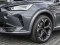 CUPRA Formentor VZ 2.0 TSI 4Drive DSG LED+RFK+SHZ+NAVI Grau - thumbnail 8