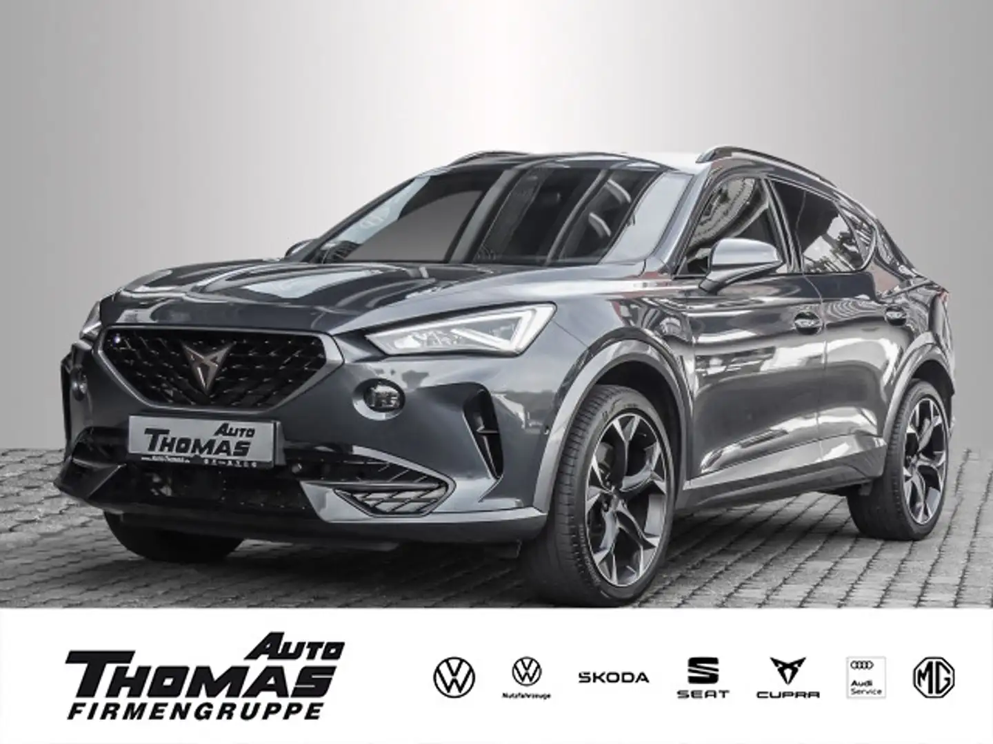 CUPRA Formentor VZ 2.0 TSI 4Drive DSG LED+RFK+SHZ+NAVI Grau - 1