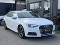 Audi A4 2,0 TDI S-Line S-tronic *AHK*Ambiente Weiß - thumbnail 9