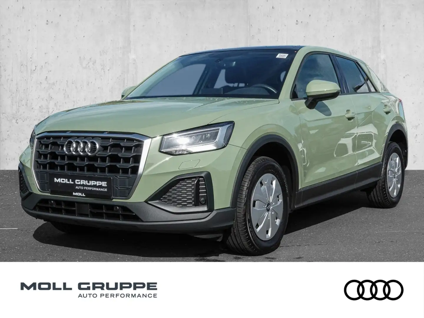 Audi Q2 35 TFSI 110(150) S tronic AHK LEDER PANO Зелёный - 1