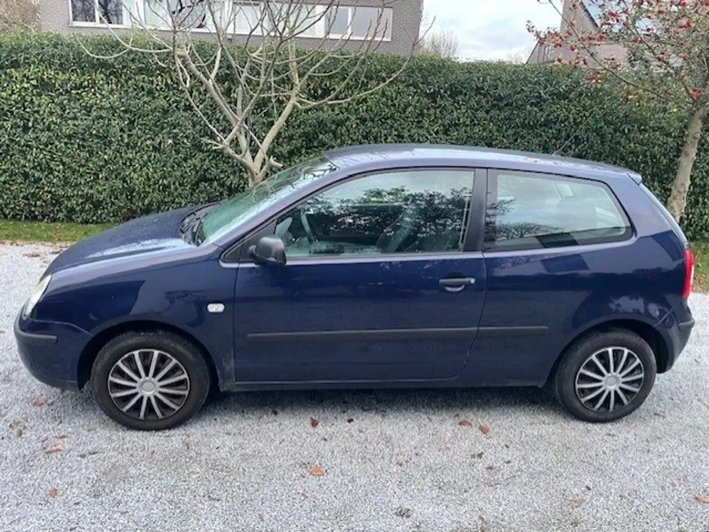Volkswagen Polo Polo 1.9 SDI Comfortline Bleu - 2