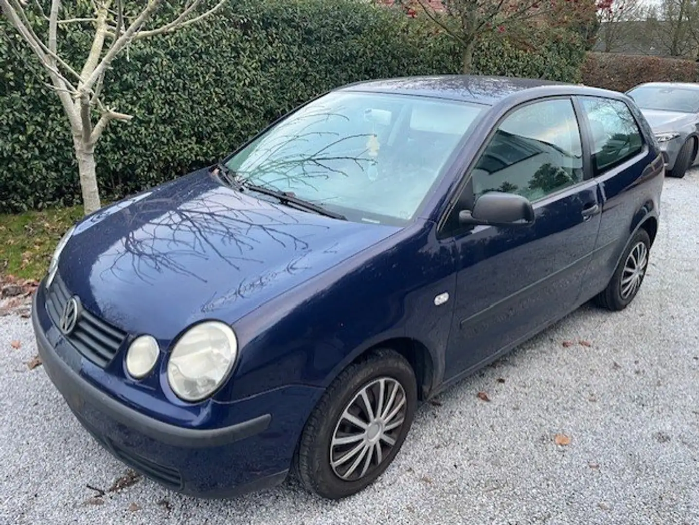 Volkswagen Polo Polo 1.9 SDI Comfortline Bleu - 1