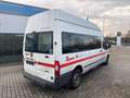 Ford Transit FT 300 L Trend 9 Sitze Klima Rollstuhlrampe Weiß - thumbnail 3