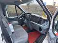 Ford Transit FT 300 L Trend 9 Sitze Klima Rollstuhlrampe Weiß - thumbnail 7