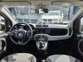 Fiat Panda 1.3 MJT 95 CV S&S Blanc - thumbnail 8