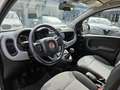 Fiat Panda 1.3 MJT 95 CV S&S Blanc - thumbnail 6