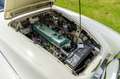 Austin-Healey 100 6 BN4 Alb - thumbnail 11