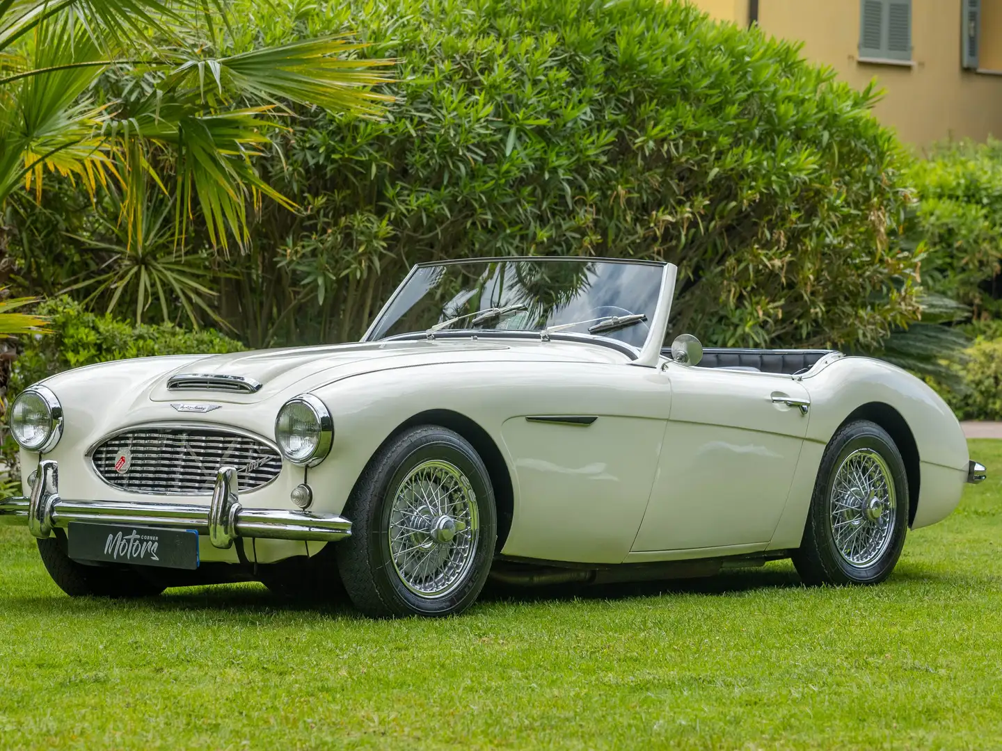 Austin-Healey 100 6 BN4 Alb - 1