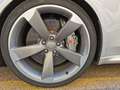 Audi RS4 4.2 V8 RECARO-CERAMIC-CARBON-20"-DRC-280KM/H-SPORT Plateado - thumbnail 7