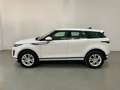 Land Rover Range Rover Evoque 2.0D MHEV S AWD Aut. 150 Weiß - thumbnail 4