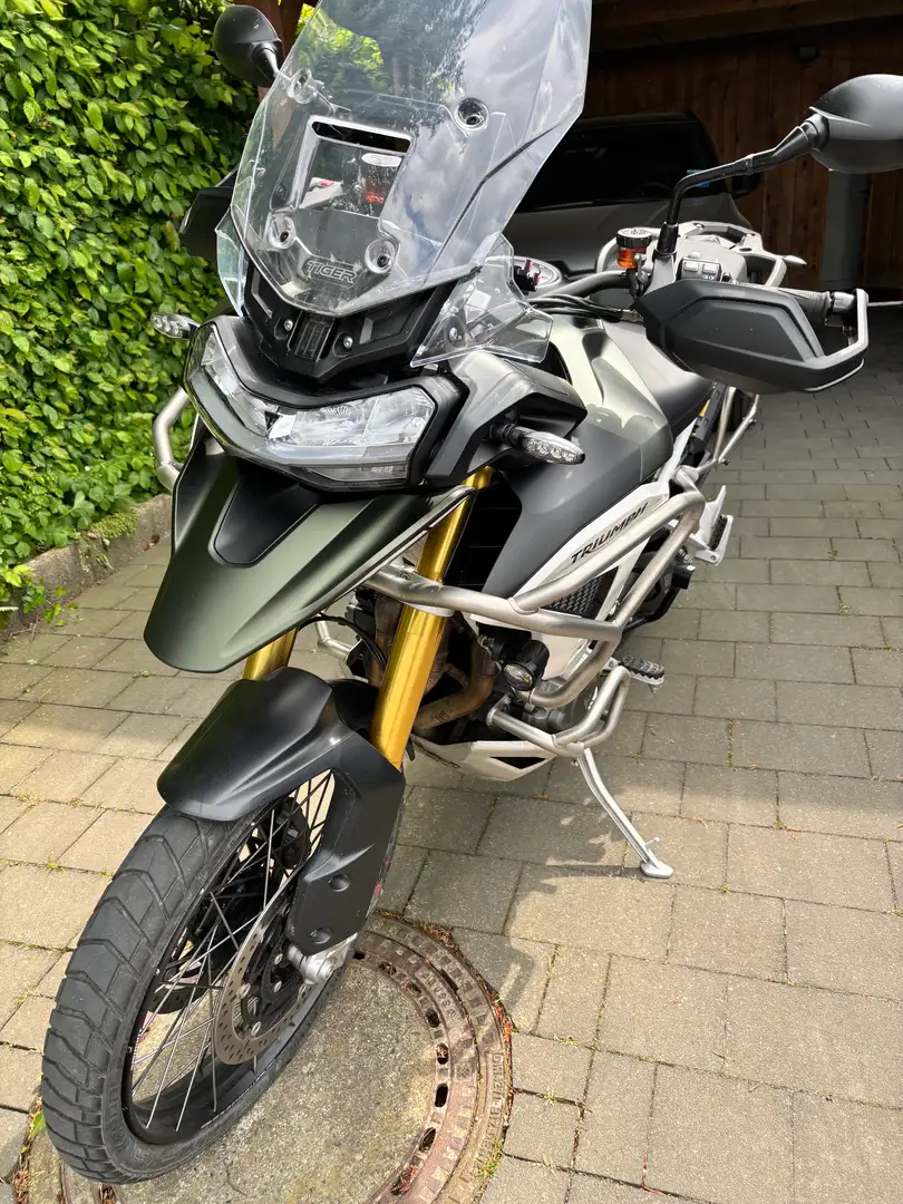 Triumph Tiger 1200 Rally Pro Verde - 2