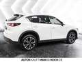 Mazda CX-5 194ps  EXCLUSIVE-LINE MatrixLED Bose Weiß - thumbnail 5