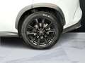 Lexus NX 350h 2ª serie 350h Hybrid 4WD F-Sport Blanco - thumbnail 15