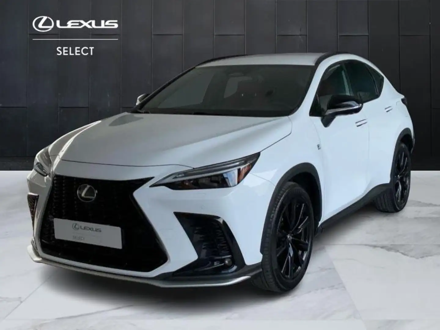 Lexus NX 350h 2ª serie 350h Hybrid 4WD F-Sport Blanco - 1
