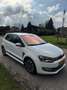 Volkswagen Polo 1.0 BlueM. Edition 145PK Wit - thumbnail 3