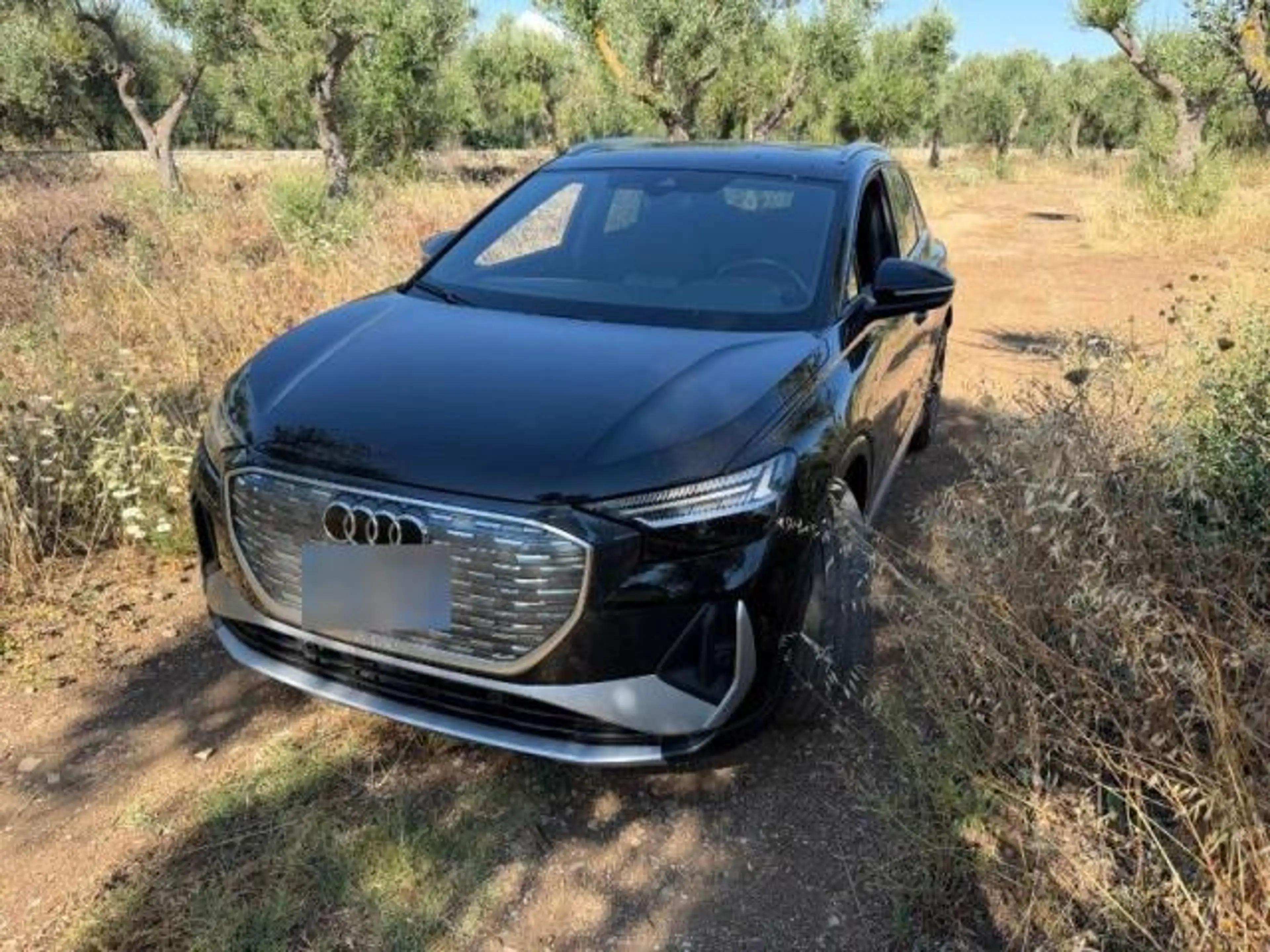 Audi Q4 e-tron 45 S LINE 20Z/MTRX/ACC/KAM./DSP/CARPL. — photo 5