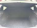 Volvo V40 Cross Country D2 Momentum 120 Blanco - thumbnail 10