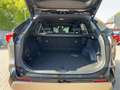 Toyota RAV 4 2,5 Hybrid Style 4x2+TEMPOMAT+KLIMA+SHZ+++ Grau - thumbnail 13