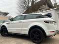 Land Rover Range Rover Evoque Coupe Si4 Dynamic 4x4 - Panorama Weiß - thumbnail 3