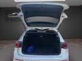Volkswagen Golf 1.5 TSI Life 96kW Blanc - thumbnail 35