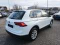 Volkswagen Tiguan 2,0 TDI Life DSG *NAVI+LED+KAMERA* Weiß - thumbnail 4