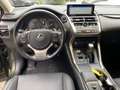 Lexus NX 300 h Style Edition el. Heckklappe*Uvm. - thumbnail 10