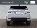 Land Rover Range Rover Evoque TD4 SE Dynamic Start/Stopp Weiß - thumbnail 6