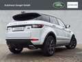 Land Rover Range Rover Evoque TD4 SE Dynamic Start/Stopp Weiß - thumbnail 2