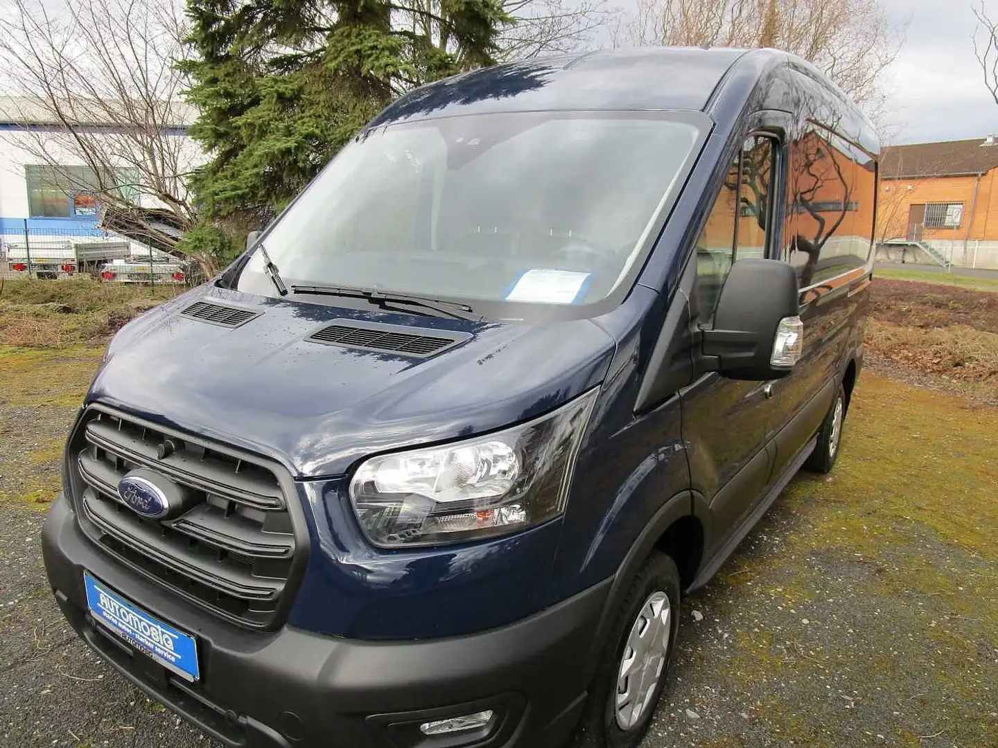 Ford Transit 310 L2H2 Lkw Trend/AHK/PPS/RFK/Klima/SHZ Blau - 2