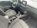 Ford Focus ST-Line X 1,0 l EcoBoost 155PS B&O Sound Blanco - thumbnail 9