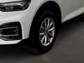 Audi Q5 40 TDI quattro Business+TourPaket AHK Weiß - thumbnail 7