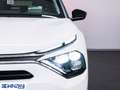 Citroen C4 PureTech 130 S&S EAT8 Plus - Km0 Blanco - thumbnail 18