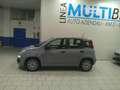 Fiat Panda 1.0 FireFly S&S Hybrid Garanzia 24 Mesi Promo Grau - thumbnail 12
