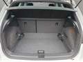 SEAT Arona 1.0 TSI Xcellence OPF Blanc - thumbnail 17