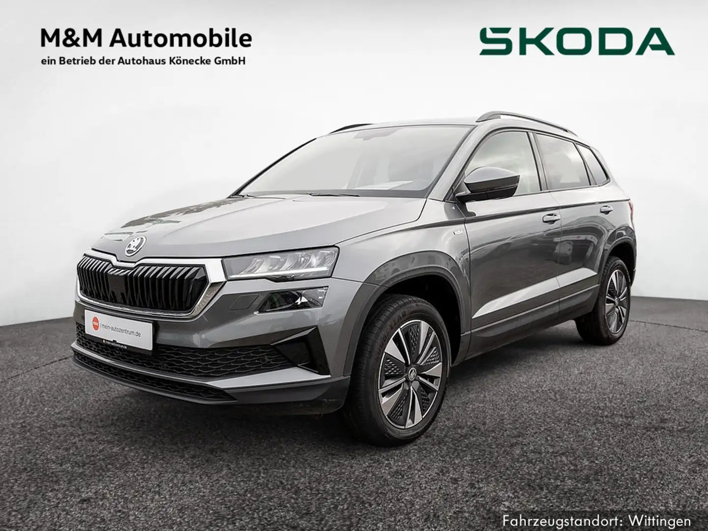 Skoda Karoq 1.5 TSI DSG Tour MATRIX LED KAMERA SHZ Gris - 1