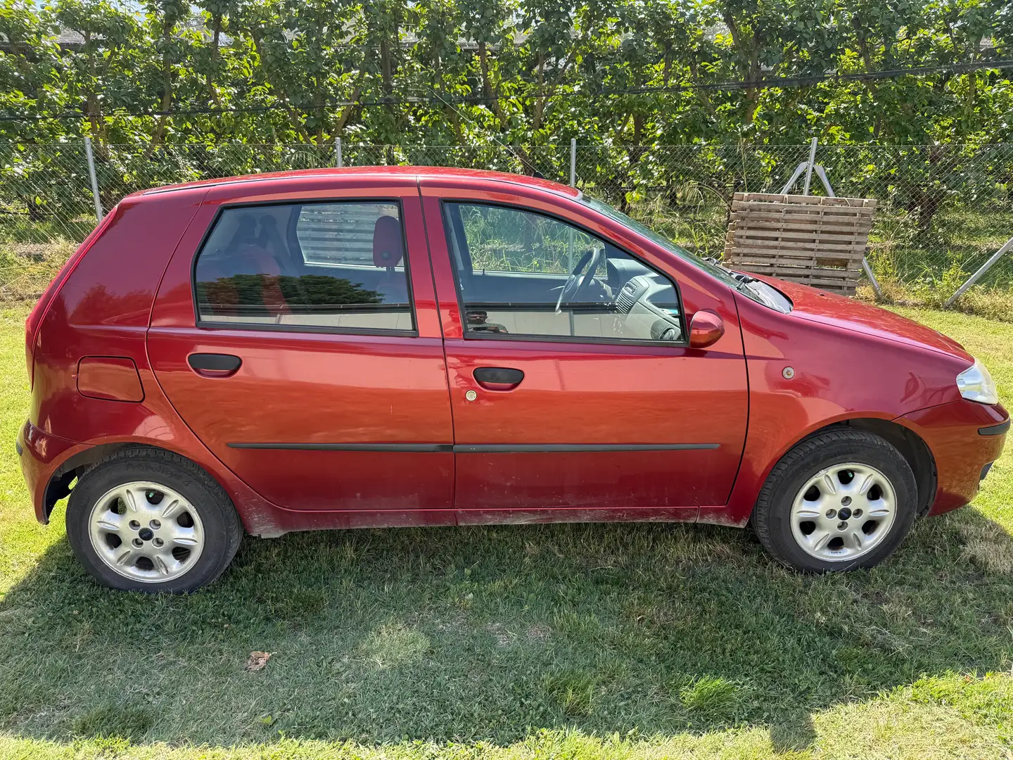 Fiat Punto Punto II 2003 5p 1.2 Dynamic Red - 1