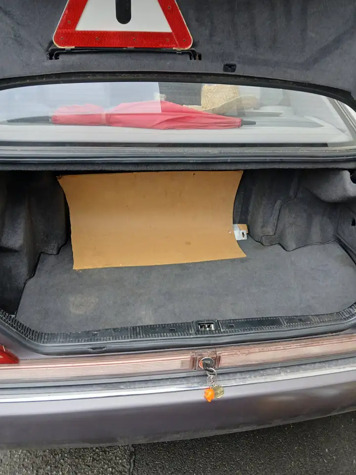 Mercedes-Benz 300 se 3.2, foto 10