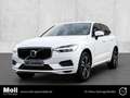 Volvo XC60 Momentum Pro 2WD AHK Navi Leder Digitales Cockpit Weiß - thumbnail 1
