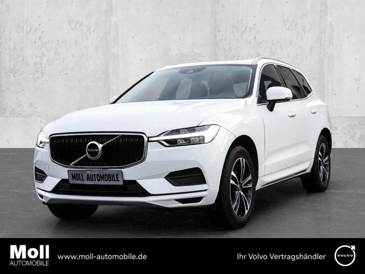 Volvo XC60 Momentum Pro 2WD AHK Navi Leder Digitales Cockpit Weiß - 1