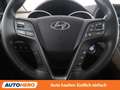 Hyundai SANTA FE 2.2 CRDi Platin 4WD Grau - thumbnail 19