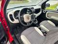 Fiat Panda Rock 4x4 Rot - thumbnail 12