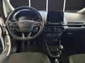 Ford EcoSport 1.0 EcoBoost 125 CV Start&Stop Titanium + IVA Weiß - thumbnail 16
