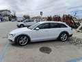 Audi A6 allroad 3.0 tdi Business quattro 272cv s-tronic Bianco - thumbnail 7