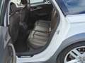 Audi A6 allroad 3.0 tdi Business quattro 272cv s-tronic Bianco - thumbnail 11