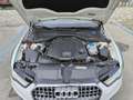 Audi A6 allroad 3.0 tdi Business quattro 272cv s-tronic Bianco - thumbnail 8